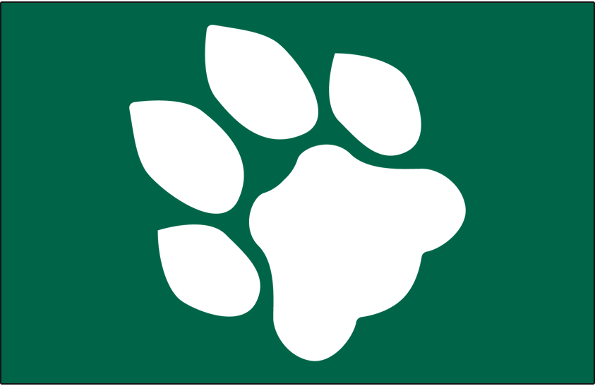 Ohio Bobcats 1979-1994 Helmet Logo diy DTF decal sticker